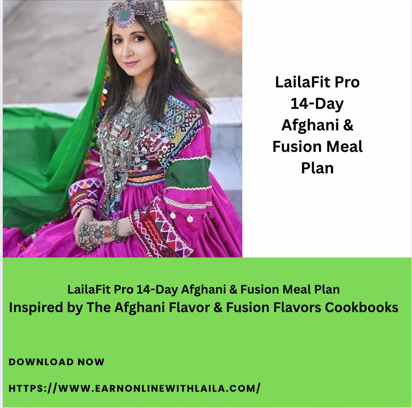 LailaFit Pro 14-Day Afghani & Fusion Meal Plan Inspired by The Afghani Flavor & Fusion Flavors Cookbooks